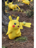ポケモンの世代