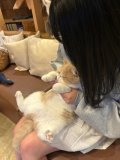 お礼💌