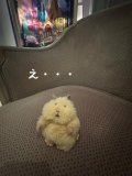 おやすみしますーm(__)m