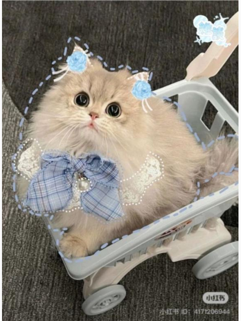 ありがとでした💝