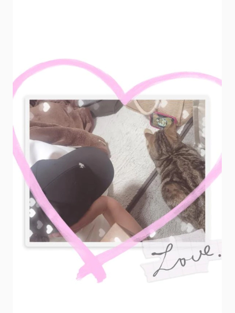 息子達🐱🐶