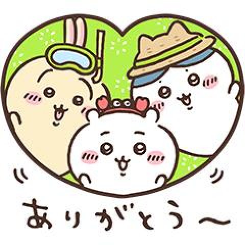 今日は