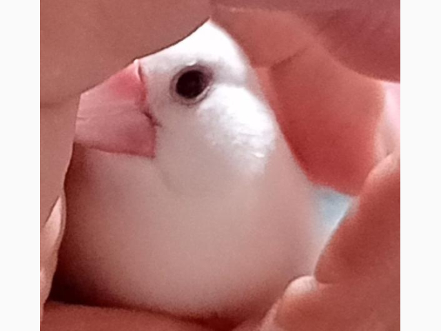 明日(*^^*)