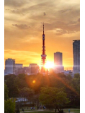 最強開運日