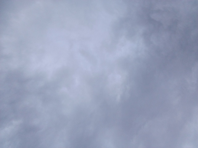 おはようございます