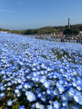 教えて