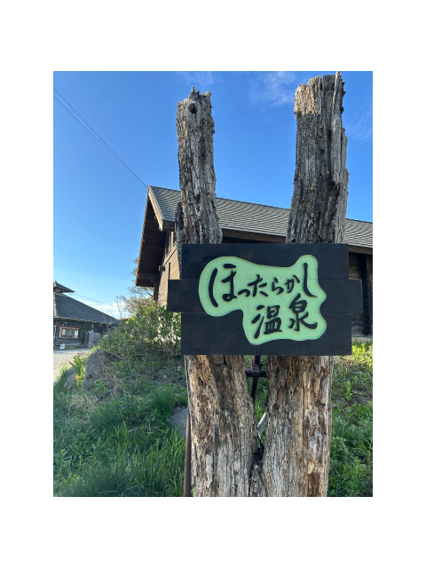 私の休日🤍