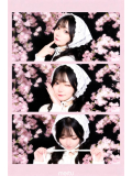 受付終了💞🌟