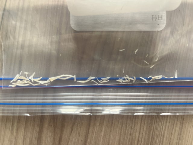 足の爪思いっきり切った〜！！?(*´?`*)??