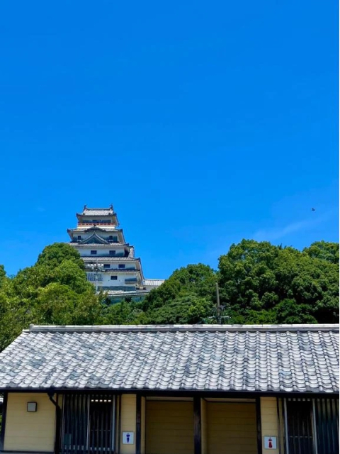 眩しい