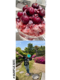 こんばんは