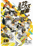 プロ野球、予告先発⚾️