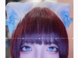 にゃんにゃんこ🐈‍⬛