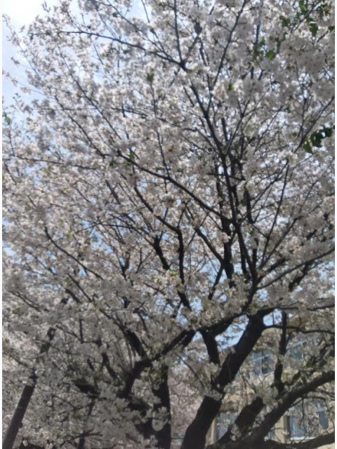 こんばんは😊