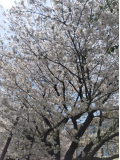 こんばんは😊