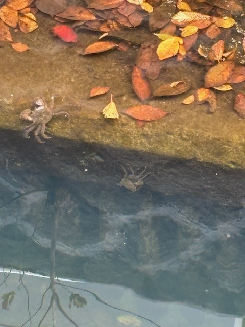 お久しぶりです