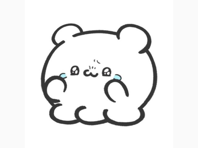 本日‼️