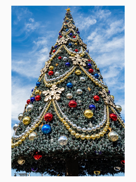 一足速いクリスマス?