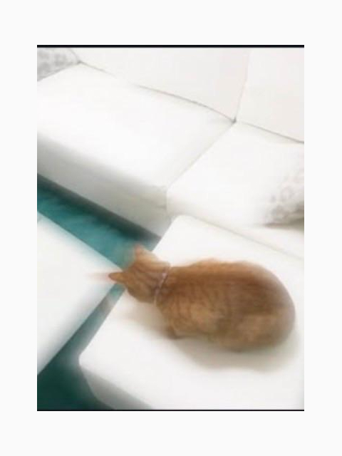 おはようございます