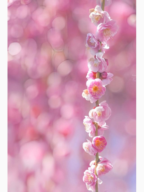 出勤しましたー！✨