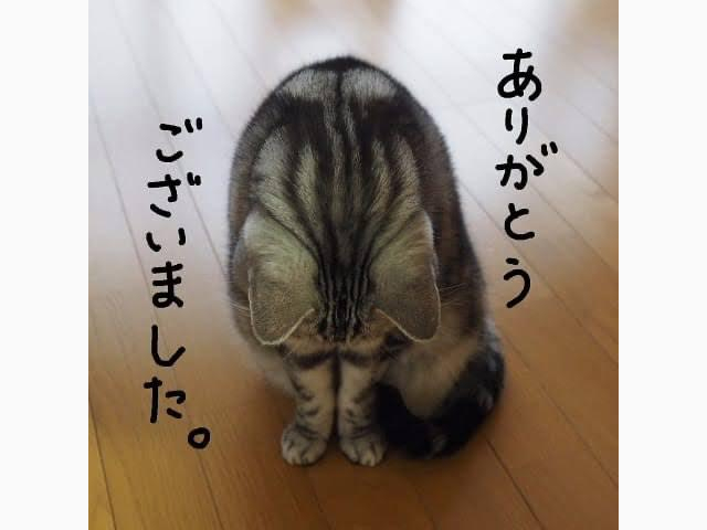 ☆ご心配をお掛けしました??♀?☆