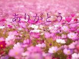 ♡おれいです♡Yさま