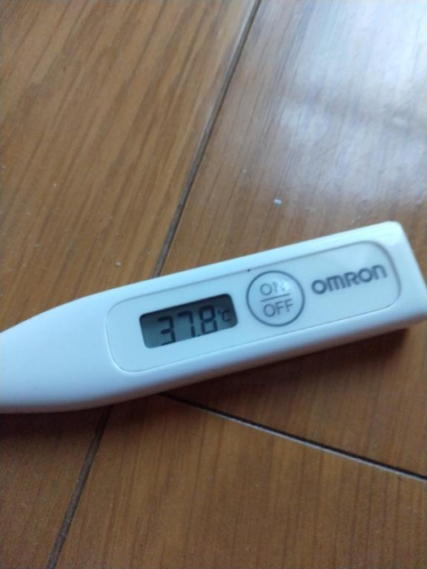 今日お会いする予定だったY様💖
