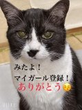 なかなか…ね…