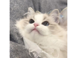 えっちなことしたい💭