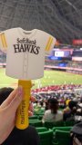 ⚾️💕
