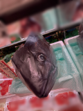 マグロです