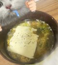 ぽっかぽか