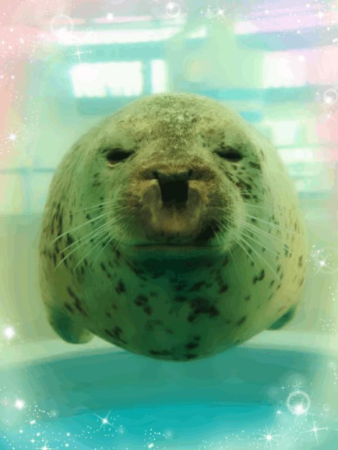 ありがとうございます