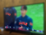 WBCネタバレかも
