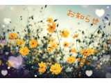 お知らせꉂ📢