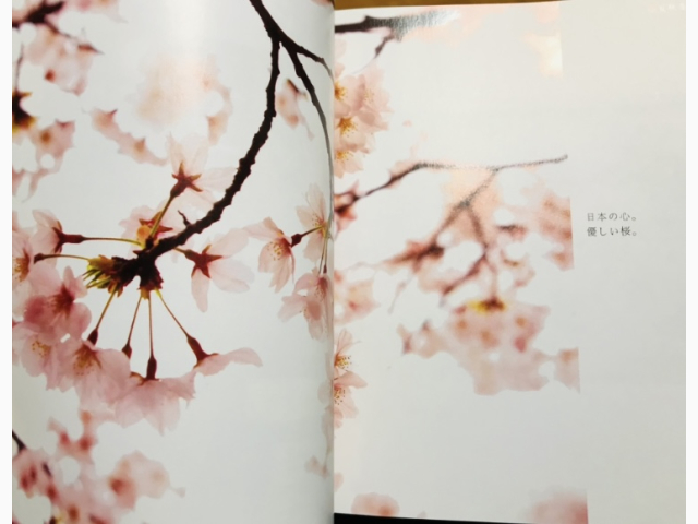出勤致します(*^^*)