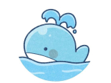 🐳について💦