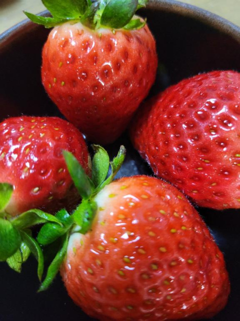 美味しかった(,,•﹏•,,)