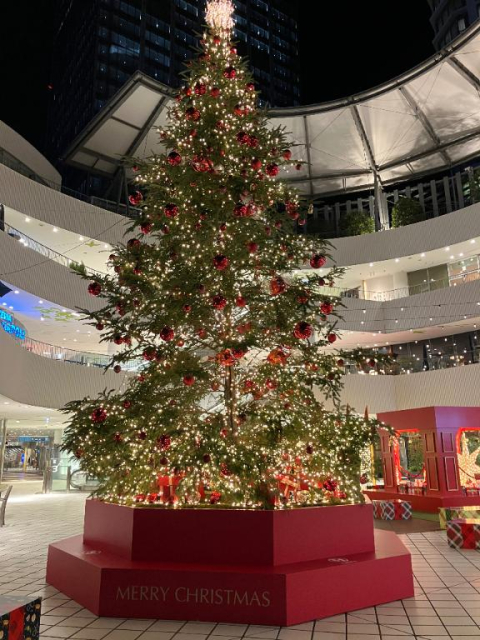 ✧*。🎄𝐌𝐞𝐫𝐫𝐲𝐂𝐡𝐫𝐢𝐬𝐭𝐦𝐚𝐬🎄✧*。