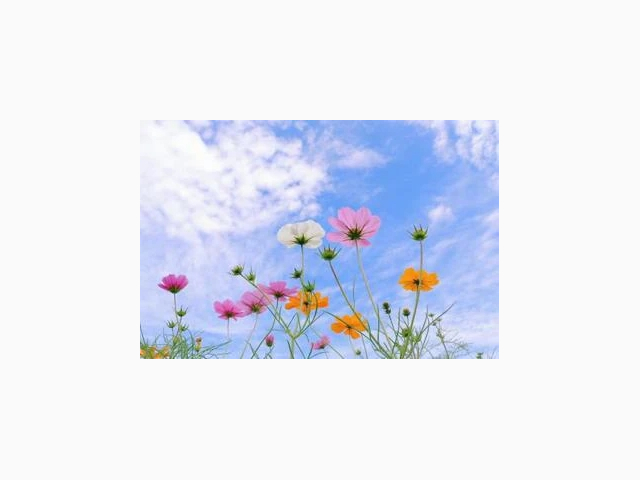 ご予約ありがとうございます♡