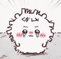お休みでした😿