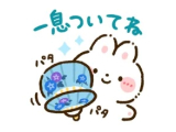 こんにちは😊