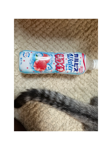 お仕事 お疲れ様です