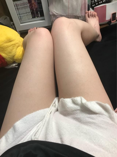 🍊( '-' 🍊)コトリチュン