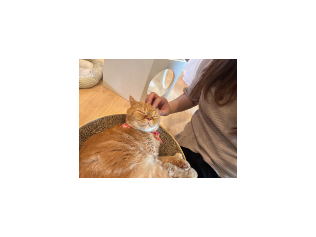 おやすみ中