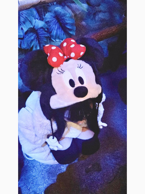 🐭🏰💞