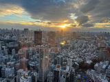 来週の予定‼️