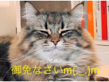 明日