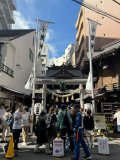 今日は