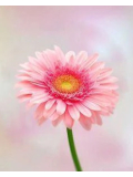 ご予約ありがとうございます♡